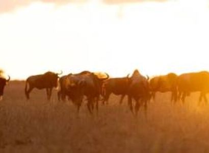 Zanzibar & Arusha 12D/11N Budget Travel Package