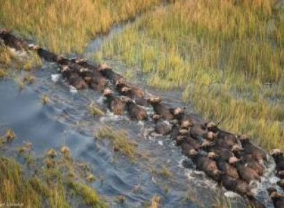 7 Days Maun & Chobe & Johannesburg Budget Tour Package