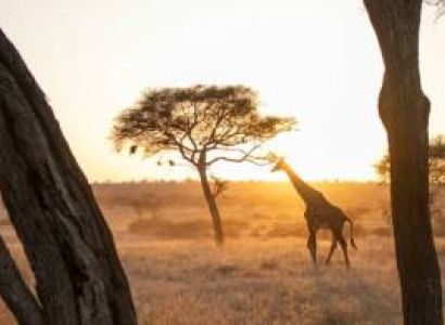 Arusha 6 Days Budget Holiday Package