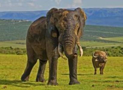 Eastern Cape & Port Elizabeth Tour Package - 5 Days Budget