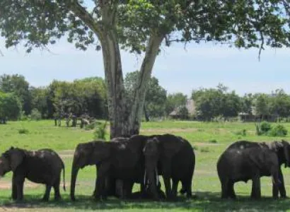 4-Day Mikumi–Udzungwa Wilderness Adventure