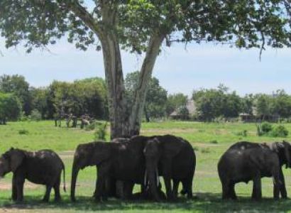 2- Day Mikumi National Park