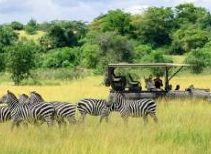 10 Days Luxury Southern Circuit Safari With Mafia Island Bliss Tour
