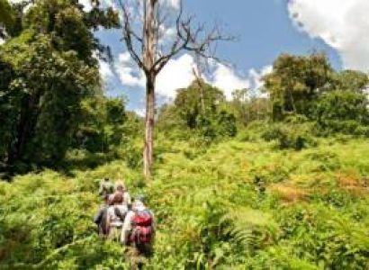 Ultimate Mahale Chimpanzee - Lake Safari Lake Tanganyika Tour