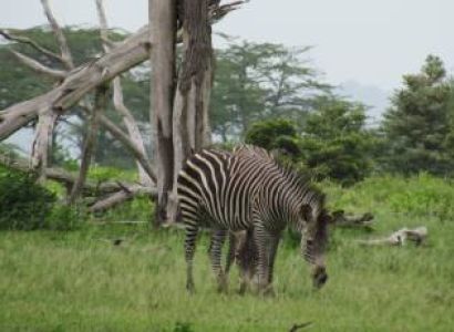 10-Day Unforgettable Southern Circuit & Bolt into Zanzibar