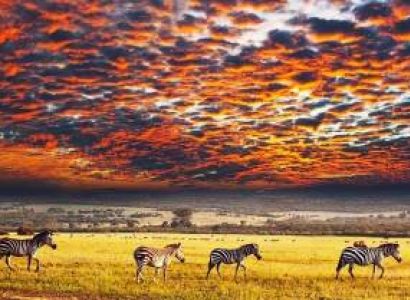 ABOVE AND BEYOND TOUR