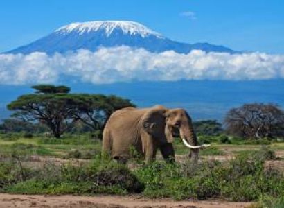 MAJESTIC TANZANIA TOUR