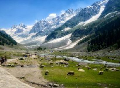 3 Night 4 day Package 2 Night Volvo bus 3 Day Cap Manali 2 Night hotel map plan