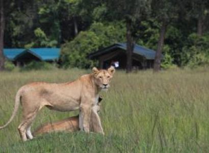 4 Day Amboseli, Tsavo East & Tsavo West Safari