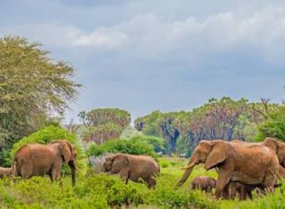 5-Days Maasai Mara, Lake Nakuru and Lake Naivasha Group Joining Safari