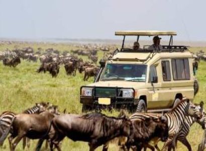6 Days Kenya Group Joining Safari Masai Mara  Lake Nakuru Amboseli