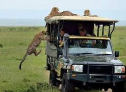 7-Day Kenya Safari: Samburu, Great Rift Lakes & Masai Mara Adventure