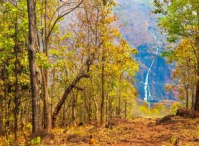 02 Nights 03 Days Simlipal National Park Tour Packages