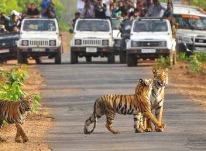 6 night 7 days Ex. Nainital, Kausani, Jim Corbett - Budget tour package