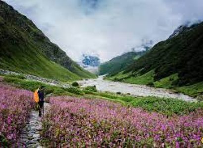 VALLEY OF FLOWERS TOUR