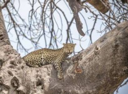 Unforgettable trip Tarangire/Serengeti/Ngorongoro (5Days/Nights)