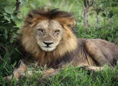 The great adventures of  7Days/6Nights