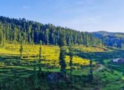 Jay Man Purnagiri Tour Tanakpur