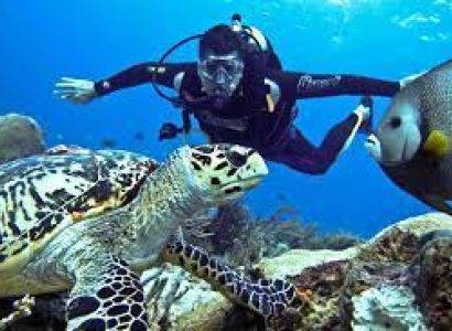 Tour Package Andaman 6Night 7Days