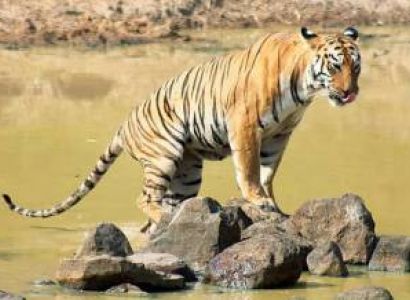 1 Night 2 Days Khajuraho Tour