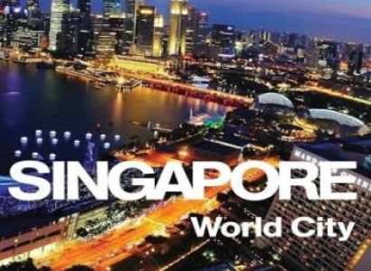 Singapore Delight