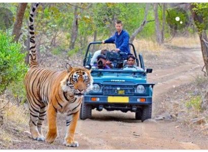 Naini Devi Himalayan Bird Conservation and wildlife Safari.