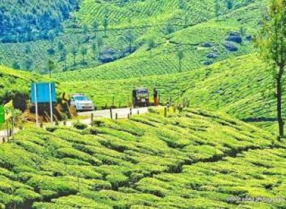 1N - 2D Megamalai Tour Package