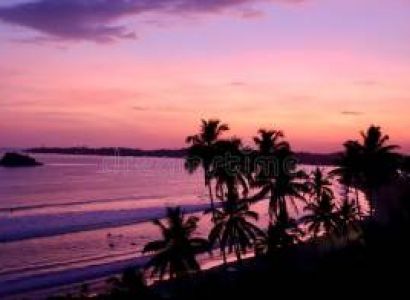 Special Sri Lanka Tour