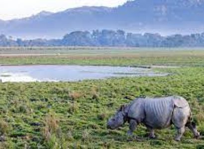 Asam –Meghalaya Package  06 nights /07days