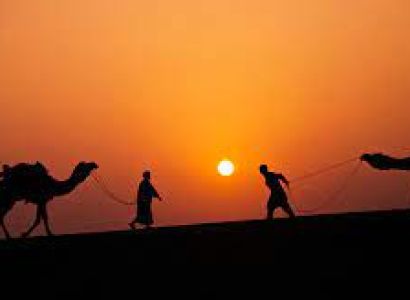 Camel safari with desert camp program & dinner