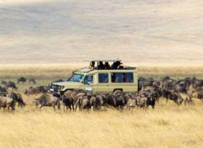 7-Day Safari to See Great Migration in Lake Ndutu