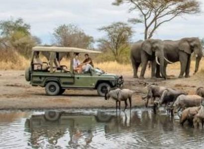 5-Day Safari to See Migration Crossing Mara River
