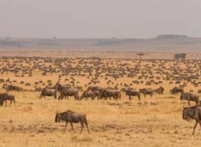 4-Day Mid-Range Tour to Lake Manyara, Crater and Serengeti.