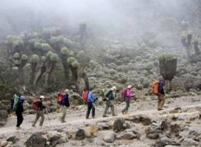 8-Day Kilimanjaro Adventure Lemosho Route