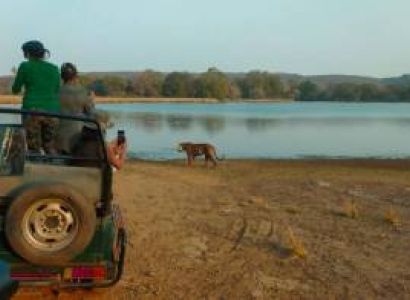 Ranthambhore Package