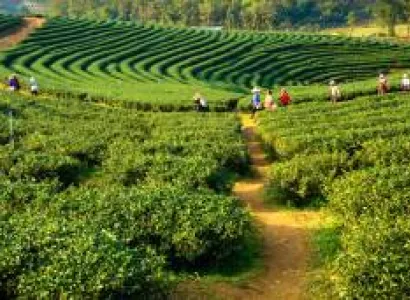 HILL STATION TOUR IN ODISHA 10D/11N