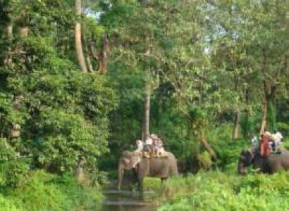ODISHA JUNGLE TREKKIN 3DAYS