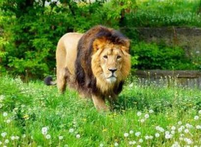 Photography Tour To Odisha