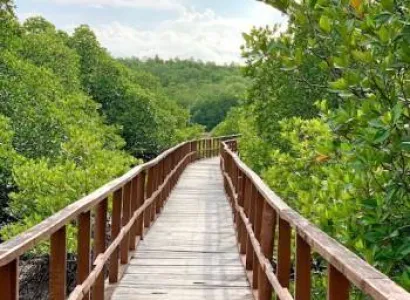 Andaman 02N Port Blair 2N Havelock 1N Neil