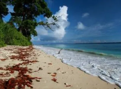 Andaman 03N Port Blair 2N Havelock 1N Neil