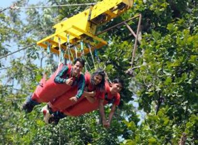 Flying Fox