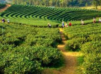 GANGTOK- LACHEN - LACHUNG - PELLING - DARJEELING TOUR