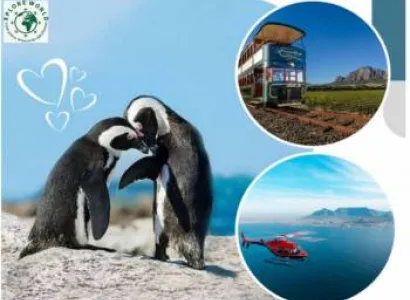 7 - Day Cape Town & Wineyards Honeymoon