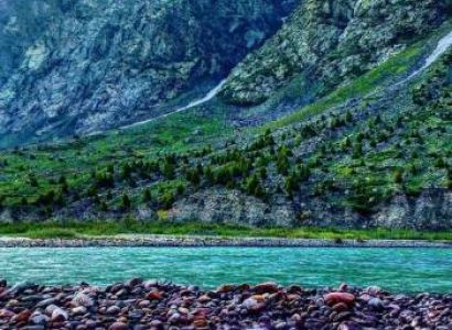 Explore Jibhi Valley By Volvo Tour