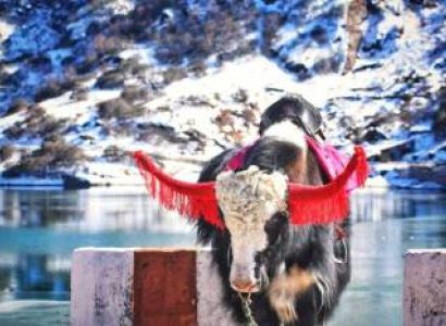 5 Nights 6 Days Gangtok Namchi and Pelling Tour