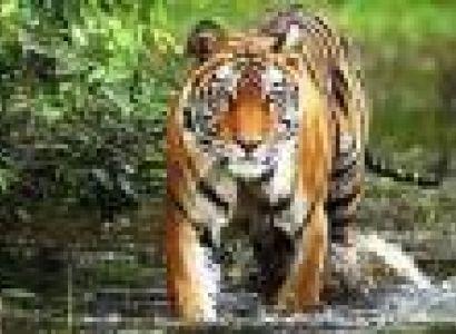 Madhya Pradesh 9 Nights - 10 Days Tour