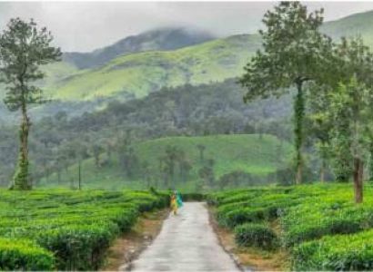 Bangalore Mysore Wayanad Tour Package 5 Days