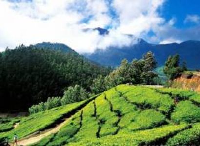 Kochi 2 Nights, Munnar 2Nights, Thekkady 1Night