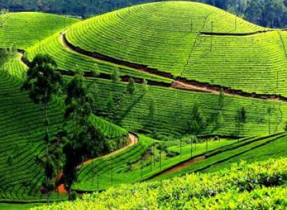2 Nights - 3 Days Tour To Ooty
