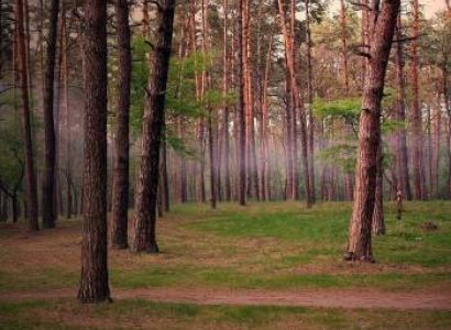 Vagamon Tour Package From Kottayam